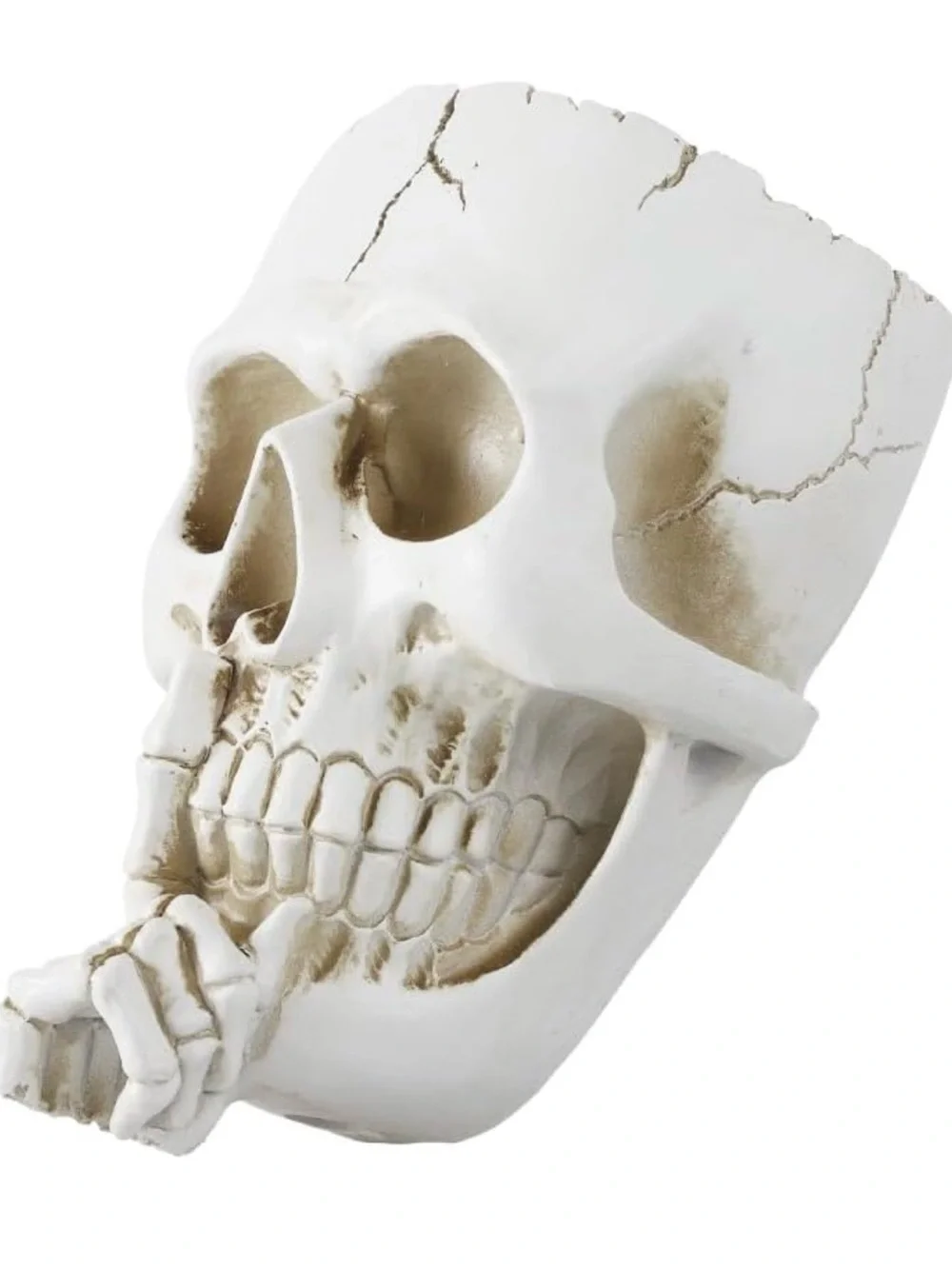 👻NEW - “DON’T SPEAK” Spooky Skull Wall Flowerpot - 7.87×5.12 inches